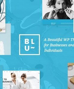 Blu – A Beautiful Theme for Businesses and Individuals