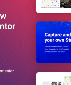 Google Street View for Elementor – Walker