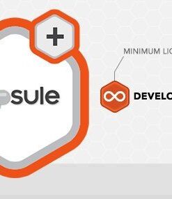 Rocket Genius Gravity Forms Capsule CRM Addon