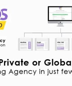 Ads Pro Add-on – WordPress Marketing Agency