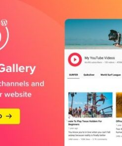 YouTube Plugin – WordPress Gallery for YouTube