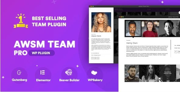 the-team-pro-team-showcase-wordpress-plugin.jpg