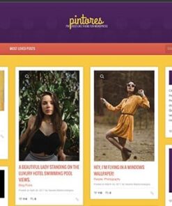 CSS Igniter Pintores WordPress Theme