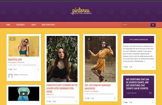 Screenshot_183.jpg CSS Igniter Pintores WordPress Theme