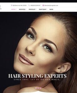 CSS Igniter The Styler WordPress Theme