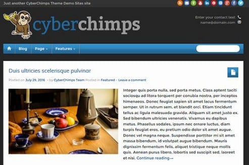 Screenshot_285.jpg CyberChimps iFeature Pro 5 WordPress Theme