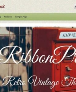 CyberChimps iRibbon Pro 2 WordPress Theme