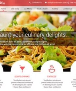 CyberChimps Cordon Bleu WordPress Theme