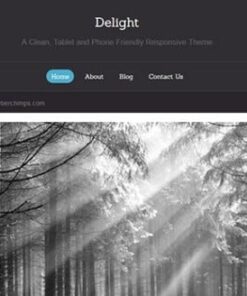 CyberChimps Delight WordPress Theme