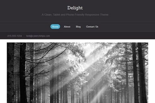 Screenshot_295.jpg CyberChimps Delight WordPress Theme