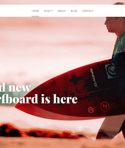 CSS Igniter Flevr WordPress Theme