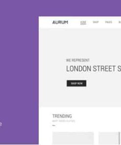 Aurum – Minimalist Shopping Theme