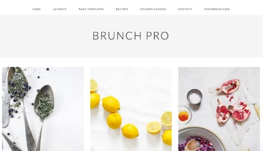 Screenshot_8.jpg StudioPress Brunch Pro Theme