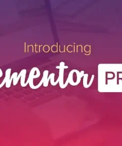 Elementor Pro WordPress Plugin