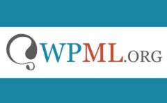 WPML Media Translation Addon