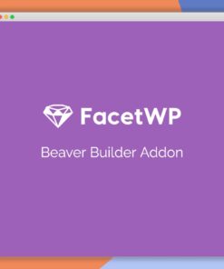 FacetWP Beaver Builder Add-On