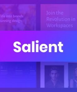Salient – Responsive Multi-Purpose Theme